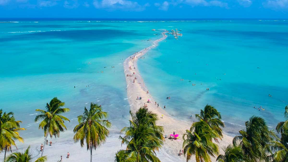 Transfer Aeroporto de Maceió ⇄ Maragogi · Só ida