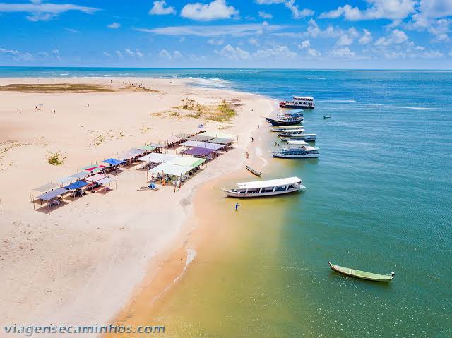 Passeio Privativo: Foz do Rio São Francisco saindo de Maceió