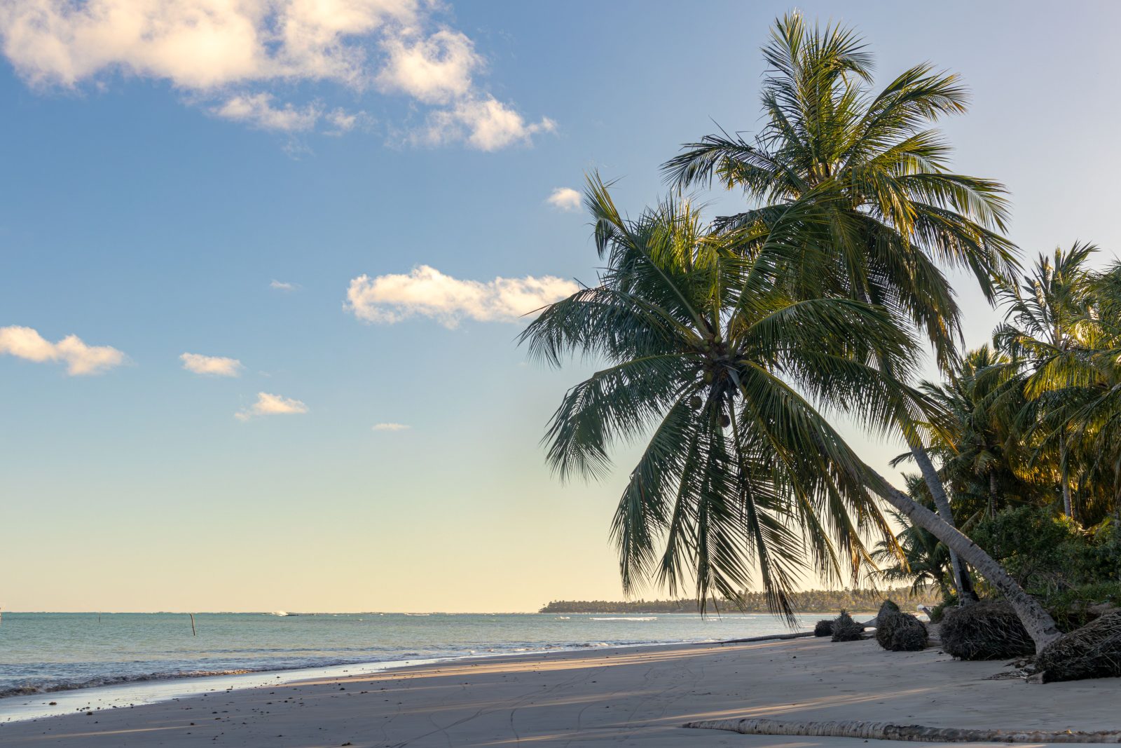 Transfer de Recife para São Miguel dos Milagres